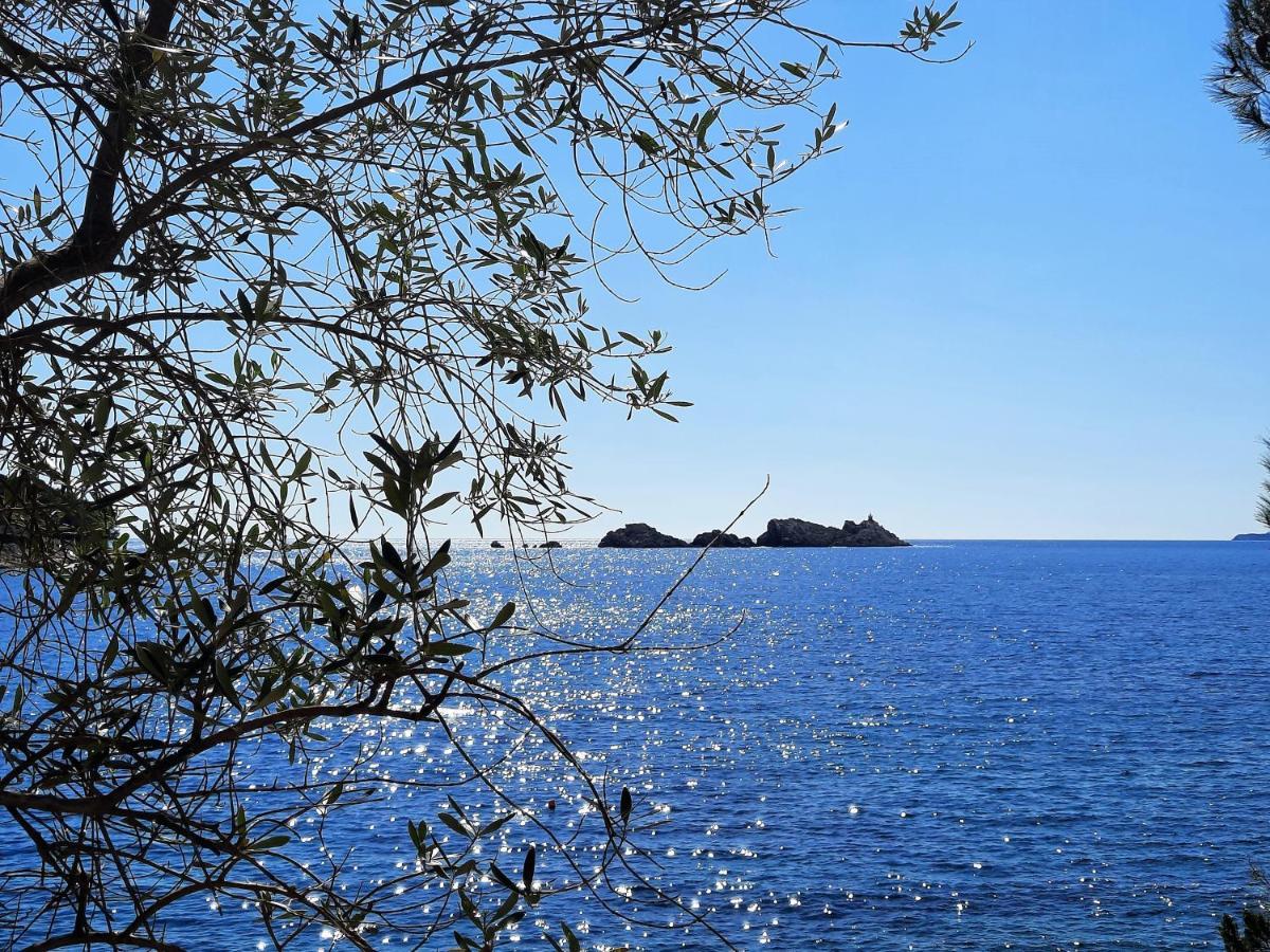 Blue Promenade Apartments Dubrovnik Eksteriør bilde